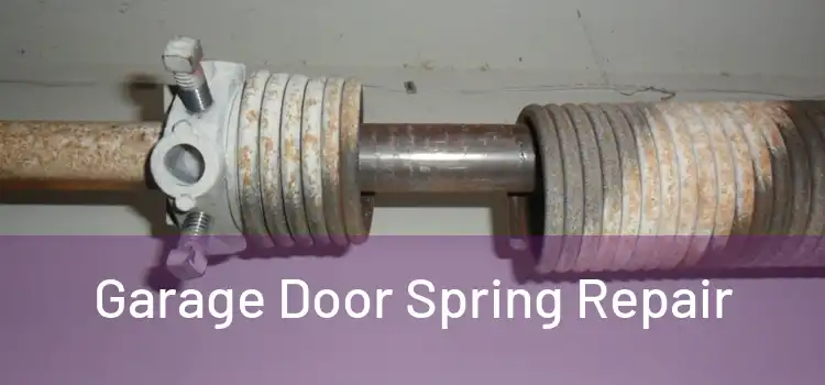  Garage Door Spring Repair 